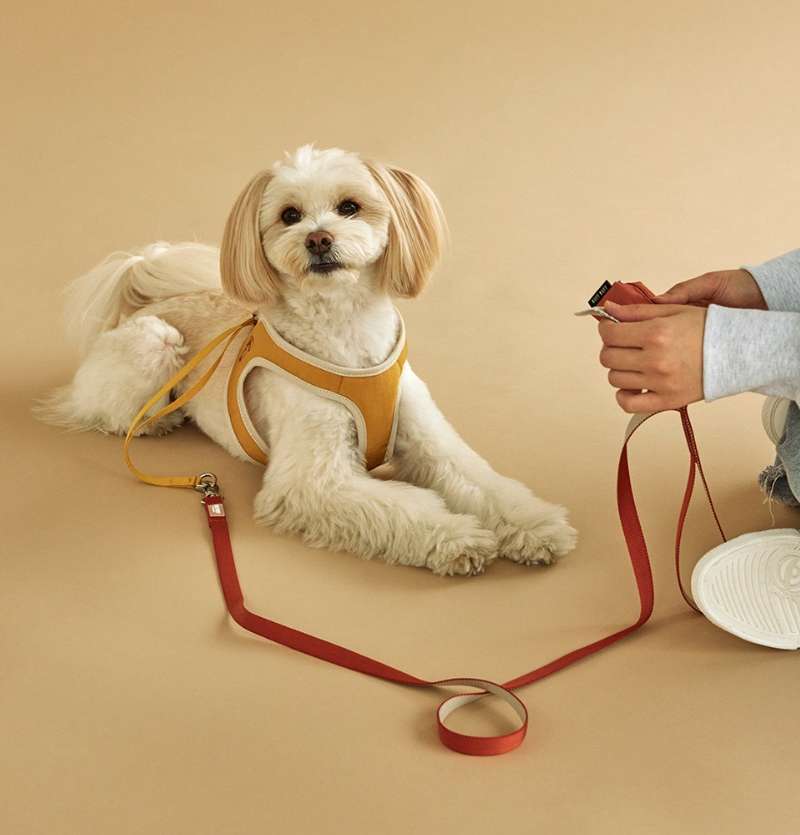 Ruff Ruff Twin Color Leash M