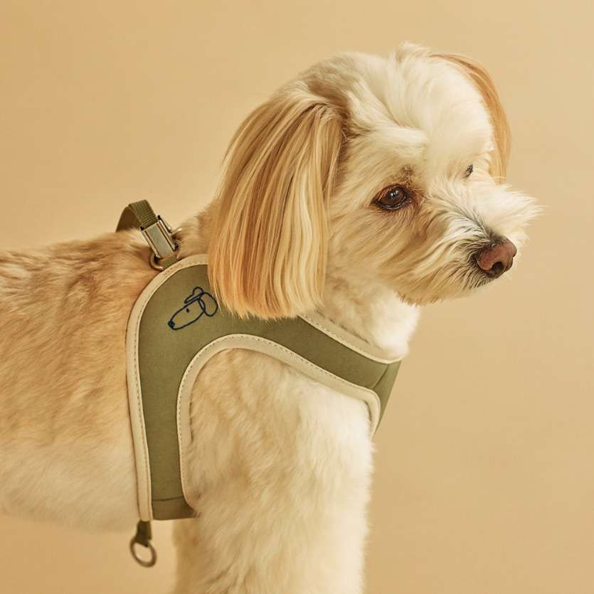 Ruff Ruff Easy Fit Harness L