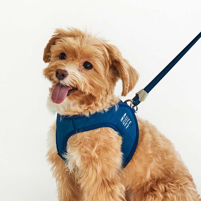Ruff Ruff Easy Fit Harness M