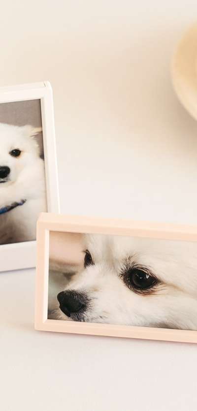 Snaplog Photocard Frame (7 Color)