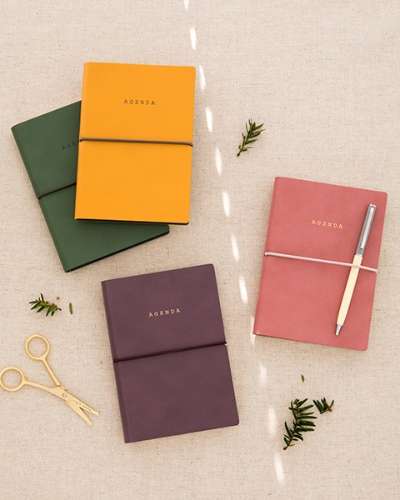 Agenda Note S