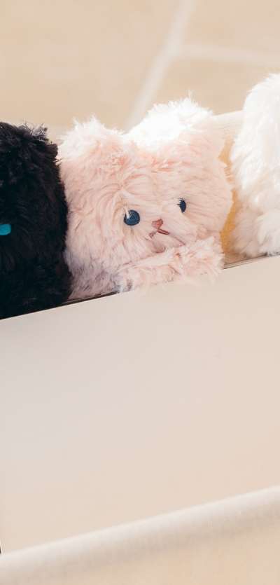 Pyo Popuri Cat Keyring (3 Color)