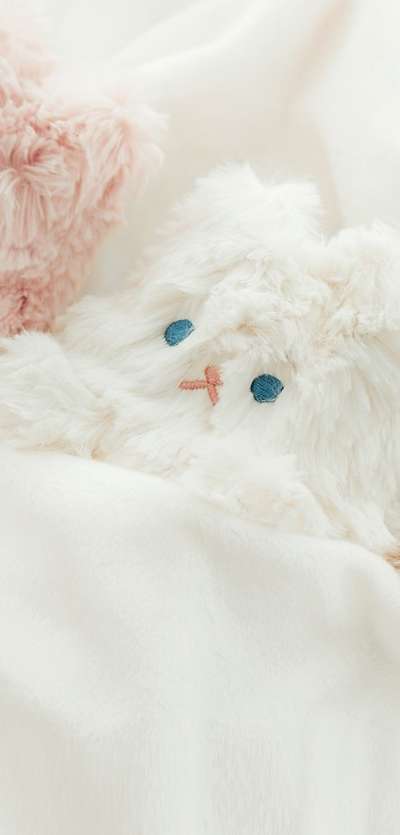 Piyou Potpourri Cat Pouch (4 Color)
