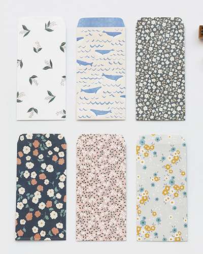 Basic Envelope Set (6 pieces)