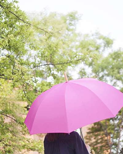 lifestudio Plain Auto Long Umbrella