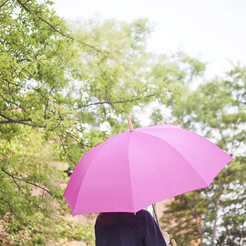 lifestudio Plain Auto Long Umbrella