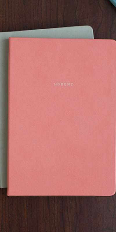 Moment Note Wirebound - L