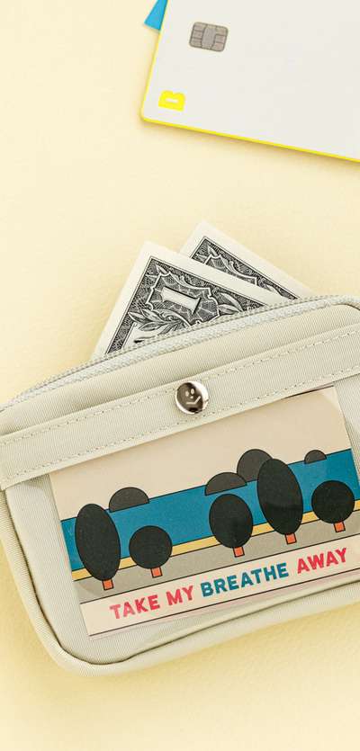 Momo's Window Card Case v.2