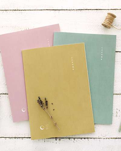 My Month Budget Planner