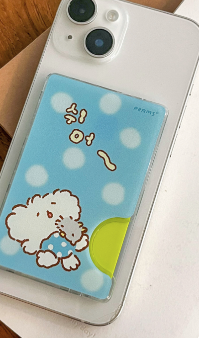 フームズ MagSafe クリアカードケース シアー