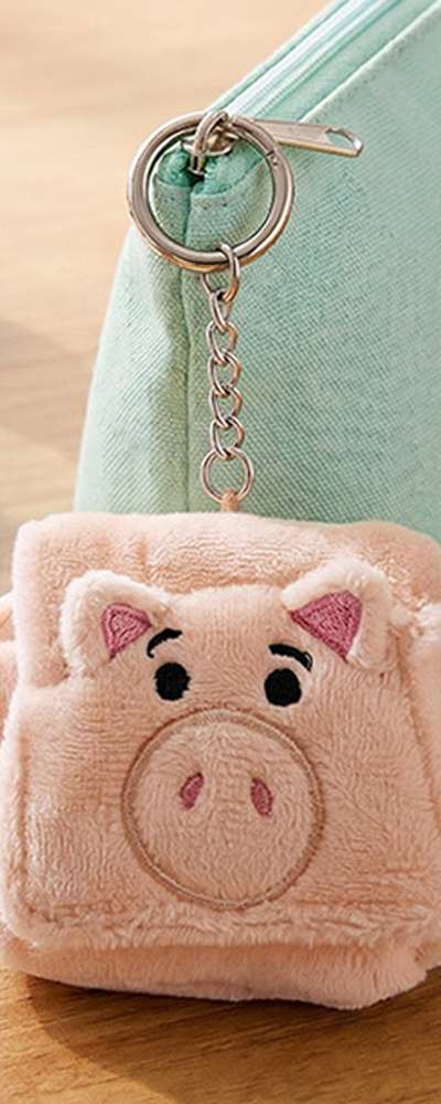 Toy Story Ham Character Mini Pocket Pouch Keyring 740188