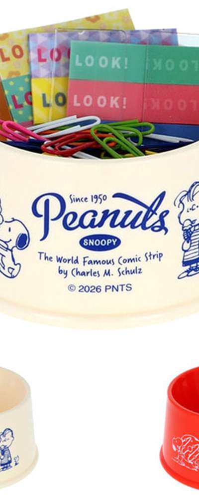 Snoopy Character Dog Dish Accessory Case Tray (Small)