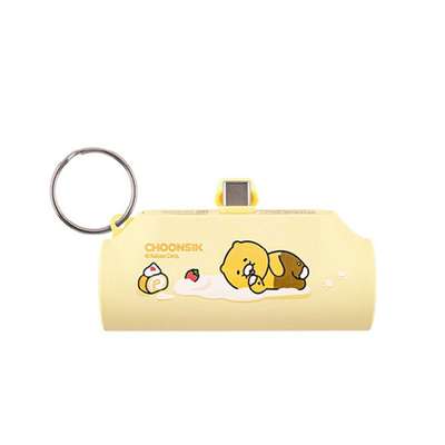 Kakao Friends Choonsik Character Roll Cake USB-C Docking Power Bank 201292