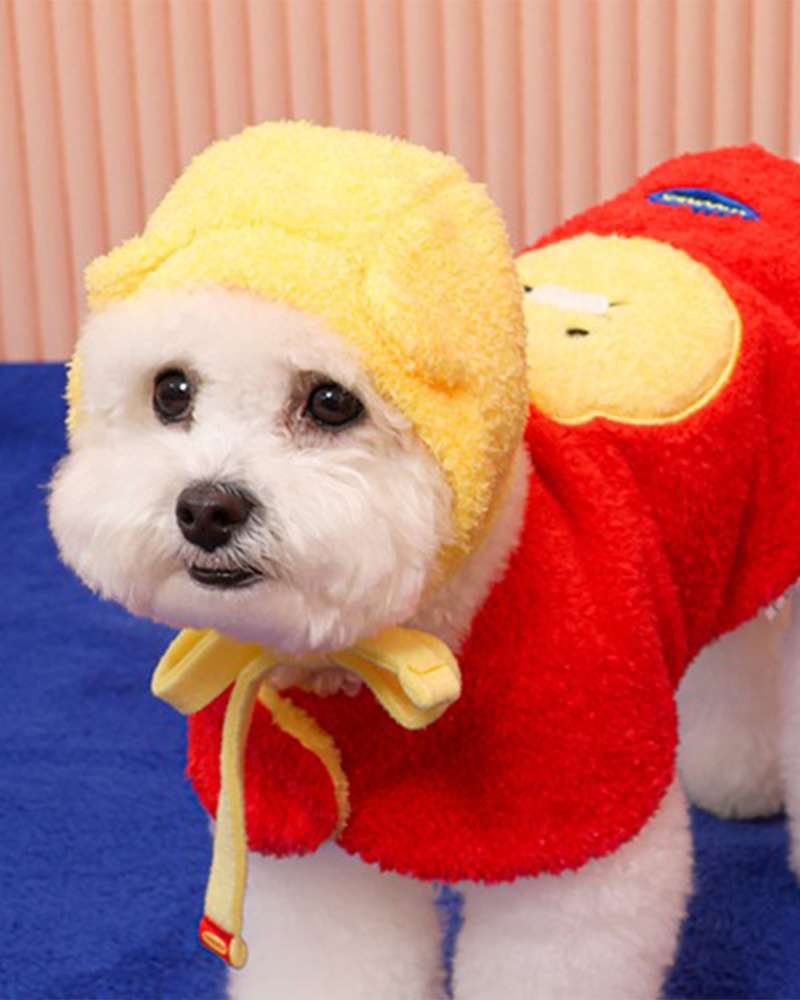 Kakao Friends Chunsik Character Pet Hat and Cape Set 215008