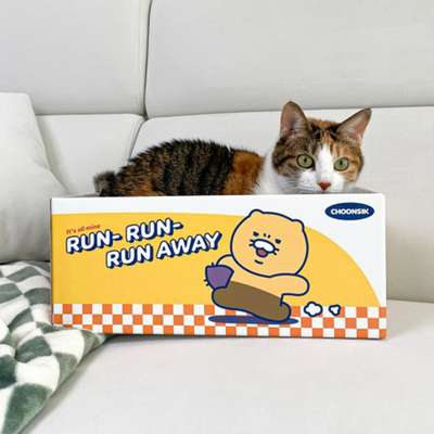 Kakao Friends Choonsik Character My Pet Cat Box Scratcher (Dododo) 215084