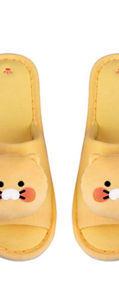 Kakao Friends Choonsik Character Fabric Slippers Indoor Shoes 654644
