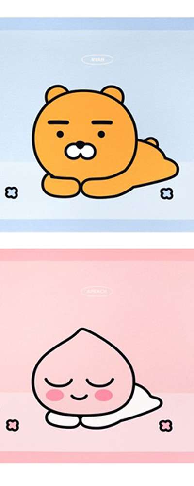 Kakao Friends Character Dry Mat 654712