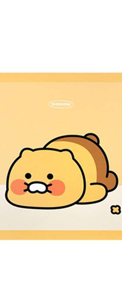 Kakao Friends Choonsik Character Dry Mat 654736