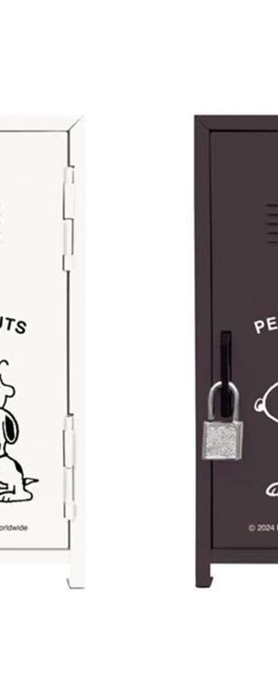 Snoopy Character Little Locker Accessory Case S (Japan Version)