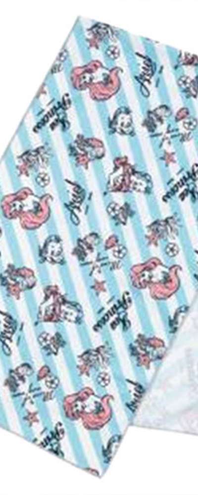 The Little Mermaid Character Cool Towel Case Set (Japan) 634154