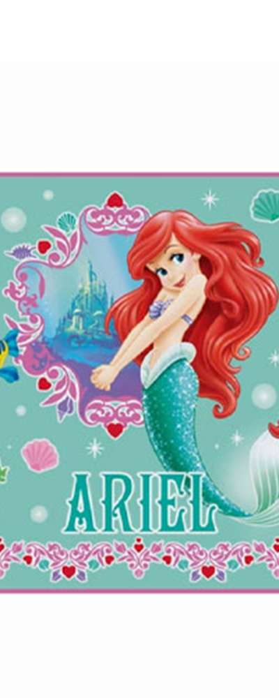 The Little Mermaid 22 Character Picnic Mat Single-Person Straw Mat (Sun) 561313