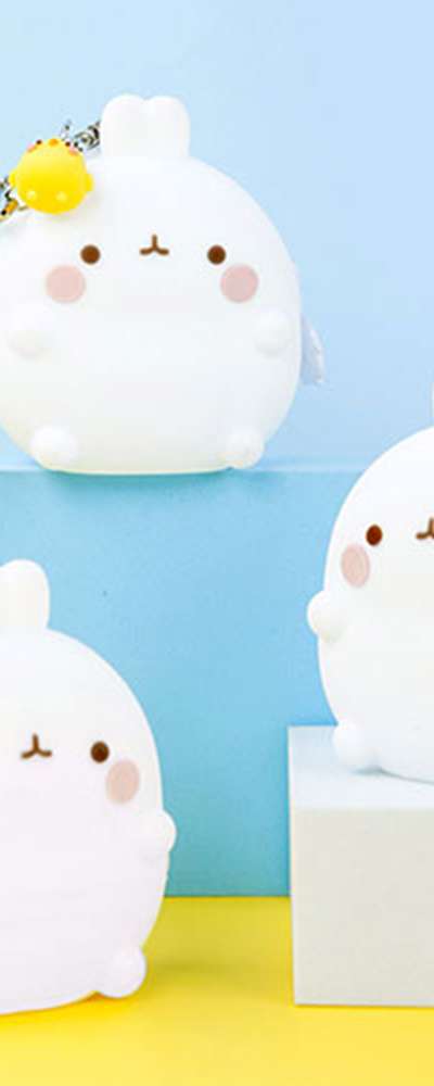 Molang Character Silicone Keyring Mini Pouch Coin Wallet 336417