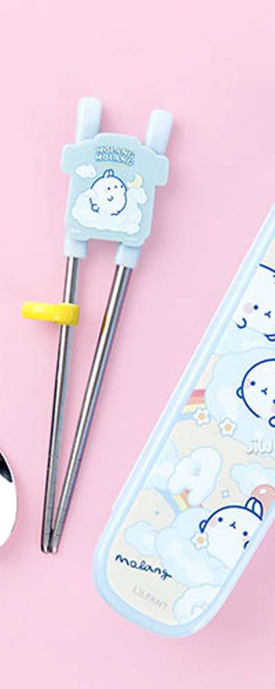 Molang Character Stainless Steel Chopsticks and Spoon Glider Case Utensil Set 582831