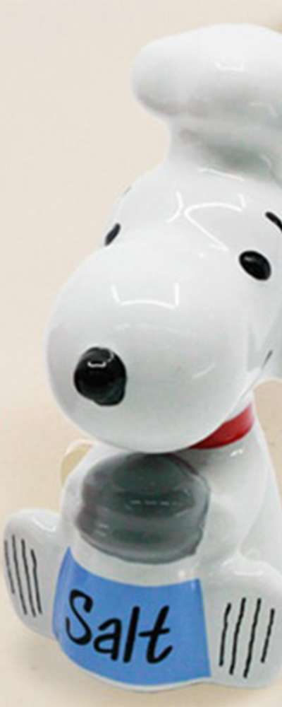 Snoopy Character Salt and Seasoning Container 179452