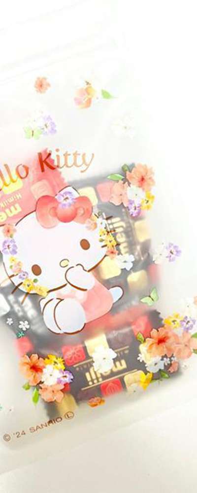 Sanrio Character Frost Zipper Bag (Set of 3)