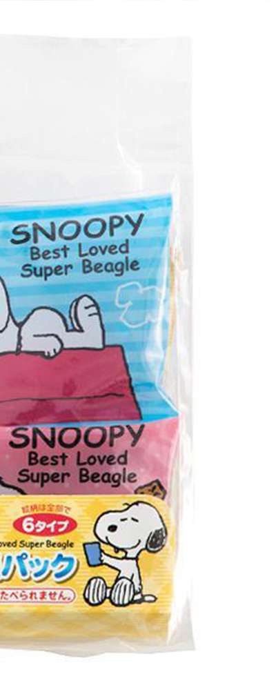 Snoopy Character Mini Cooling Pack 6p Set