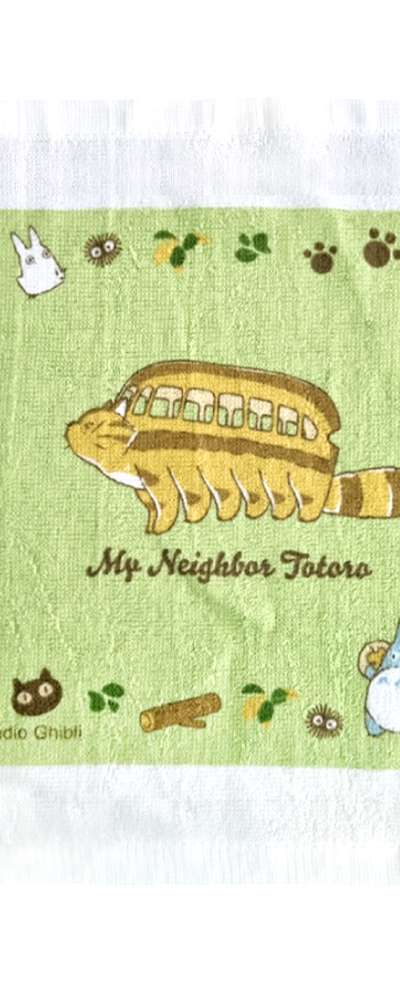 Totoro Cat Bus Character Portable Handkerchief Case Set (Japan) 649646