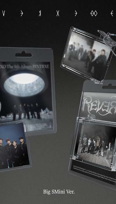 EXO The 8th Album [REVERXE] (Big SMini Ver.)(SMART ALBUM) SET