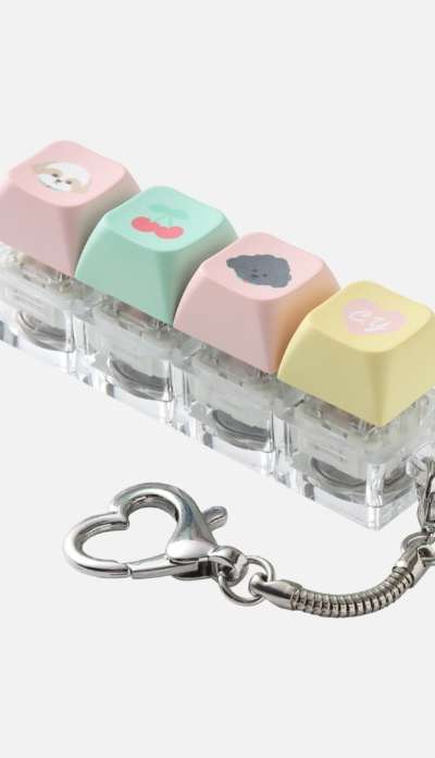 2025 CHANYEOL [Upside Down : Sound Stage] KEY CAP KEY RING