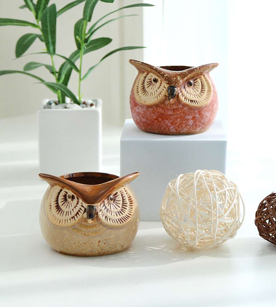 Colored Angry Owl Succulent Pot Set 2p