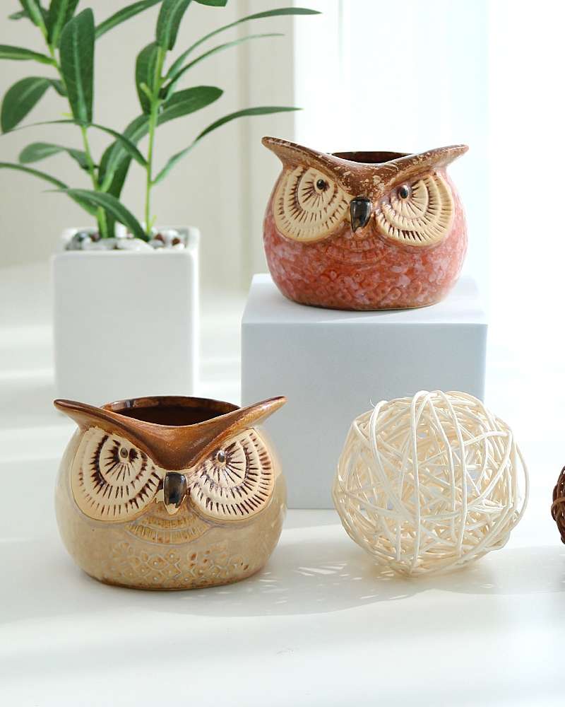 Colored Angry Owl Succulent Pot Set 2p