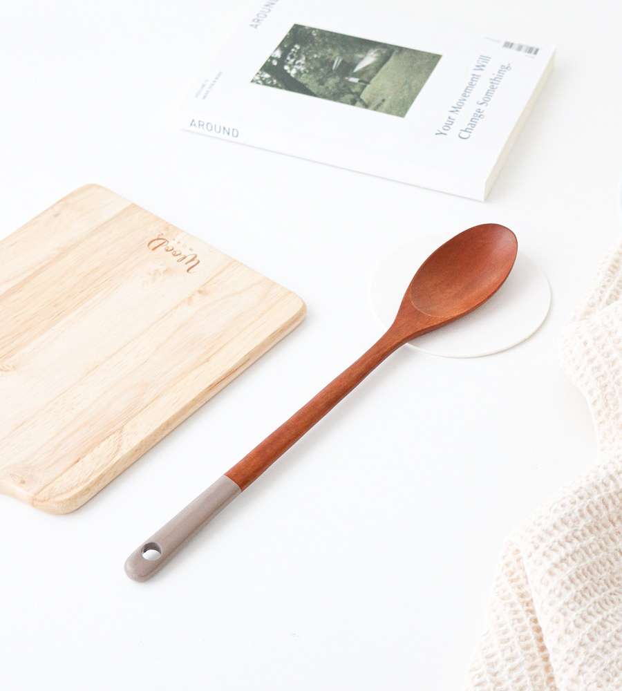 Pastel Color Lacquered Condiment Spoon