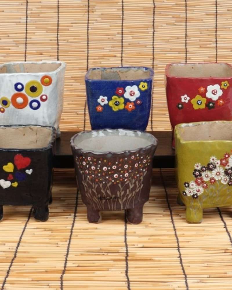 Color Succulent Planter Large (Random)