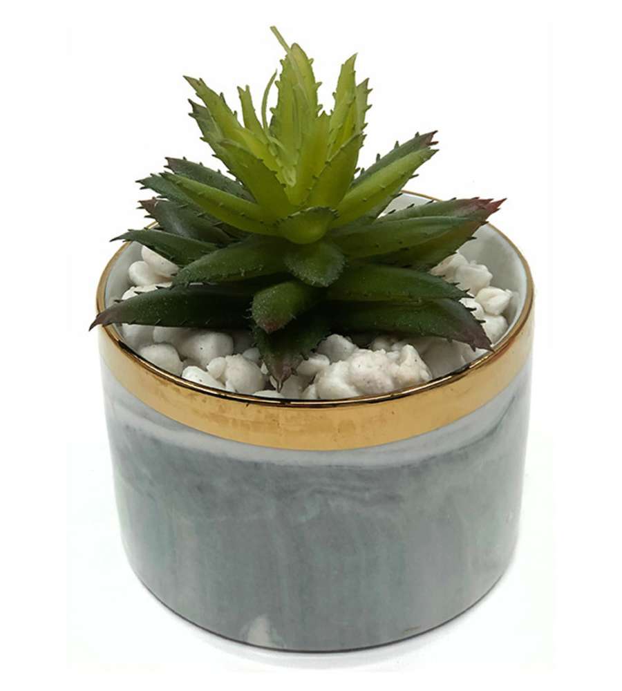 Isabella Faux Succulents Potted Plant