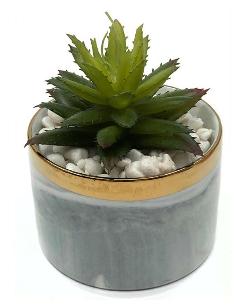 Isabella Faux Succulents Potted Plant