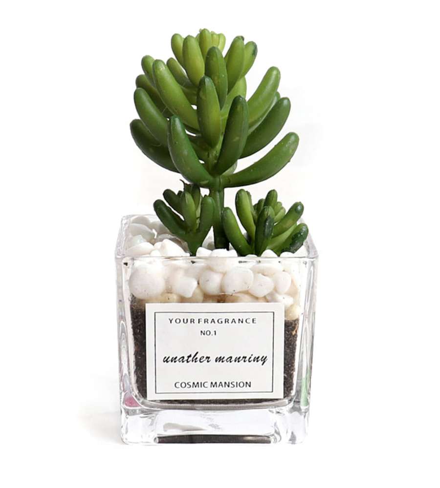 Hobbit Fake Succulent Planter