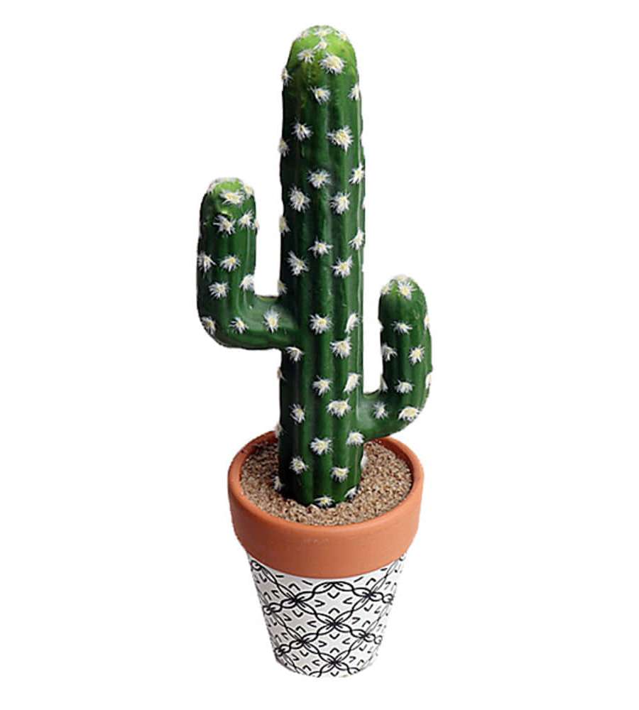 Manseh Faux Cactus Pot (1)