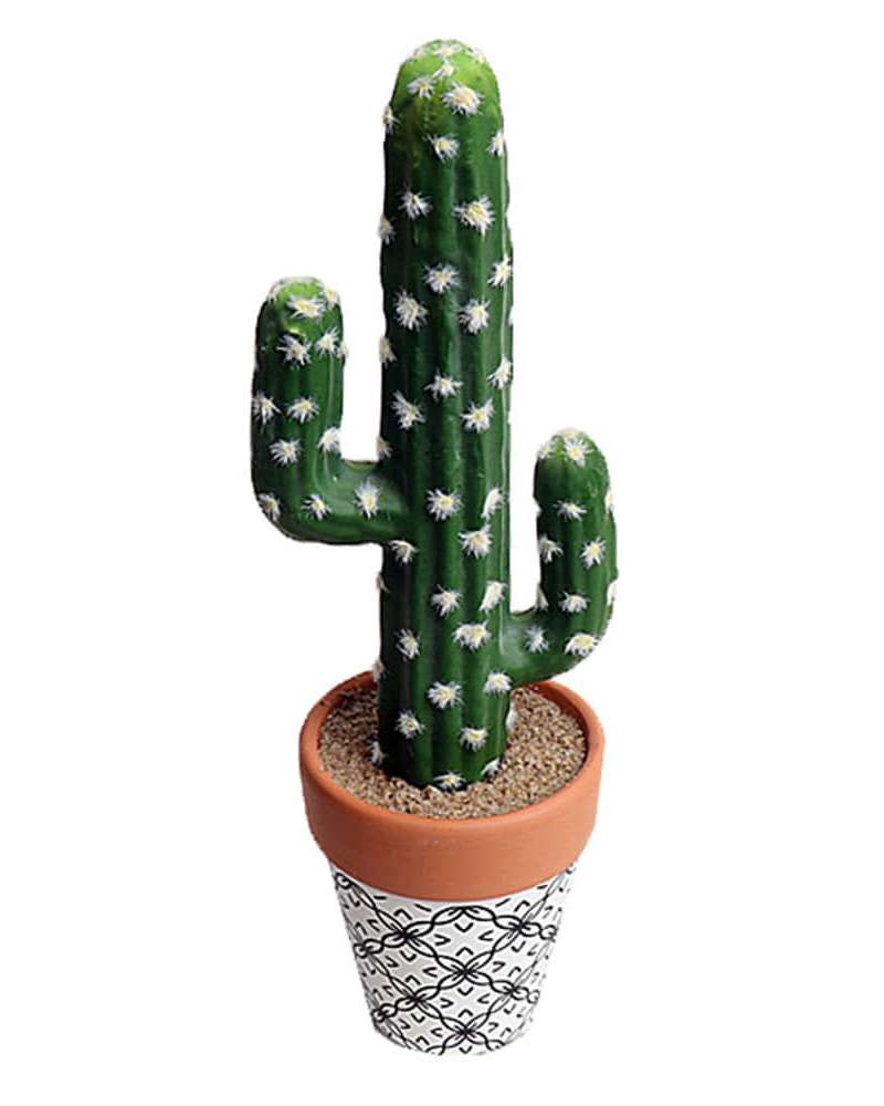 Manseh Faux Cactus Pot (1)