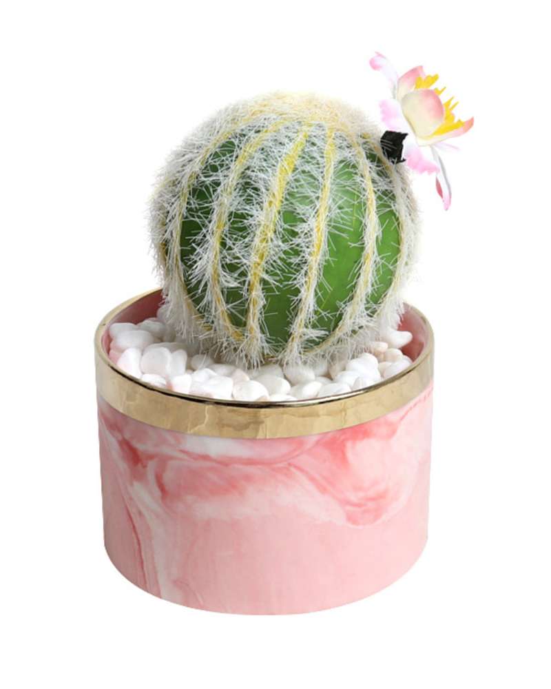 Golden Barrel Cactus Artificial Succulent Pot (2)
