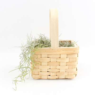 Rectangular Handle Wooden Basket | Halloween Candy Pouch, Candy, Korean Sweets, Rice Cake, Egg, Songpyeon