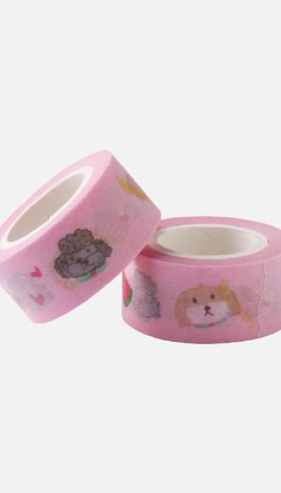 2025 CHANYEOL LIVE TOUR _City-scape Epilogue MASKING TAPE