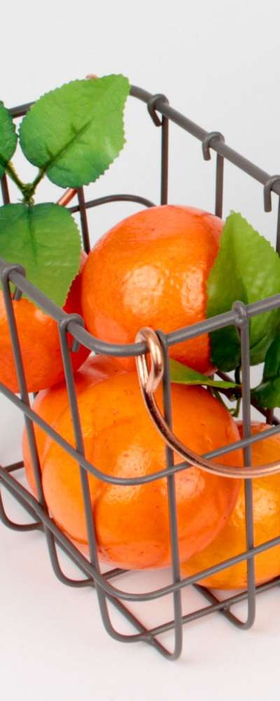 S. 20x12cm Wire Basket Rectangular | Iron Egg Basket