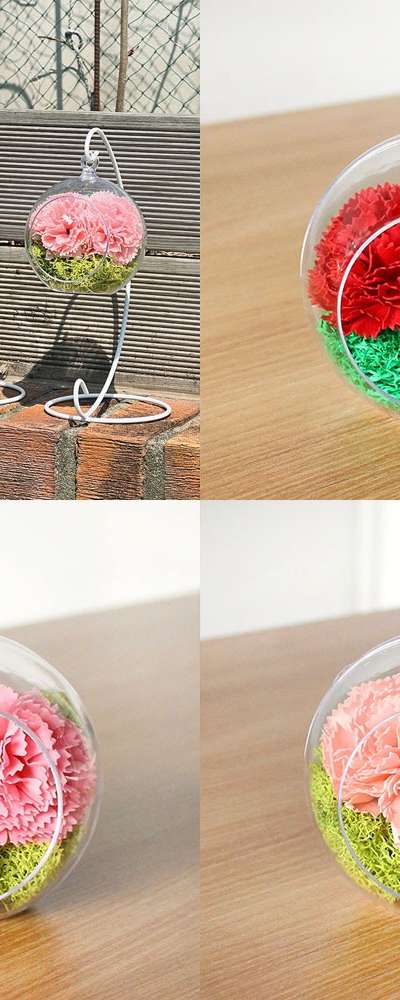 Flower Moss Hanging Ball DIY Set (Mother's Day Carnation Gift - Transparent Ball with Natural Moss)