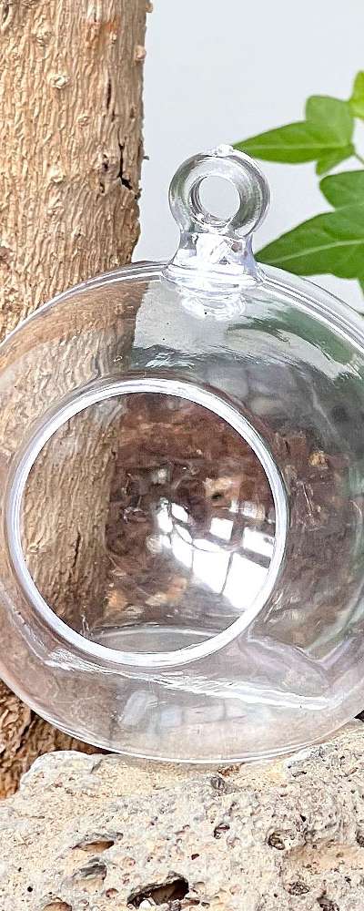 Acrylic Clear Decorative Sphere Perforated Ball Collection (Transparent Ball Hanging Ornament Terrarium Craft Material)