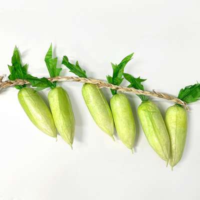 더담고 モデル野菜 大根 1束 フェイク野菜 撮影小道具 人工野菜 モデル インテリア 居酒屋 装飾