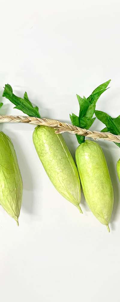 The Dam Artificial Vegetable Radish String - Fake Vegetable Photography Prop Imitation Vegetable Decor Interior Bar Decoration